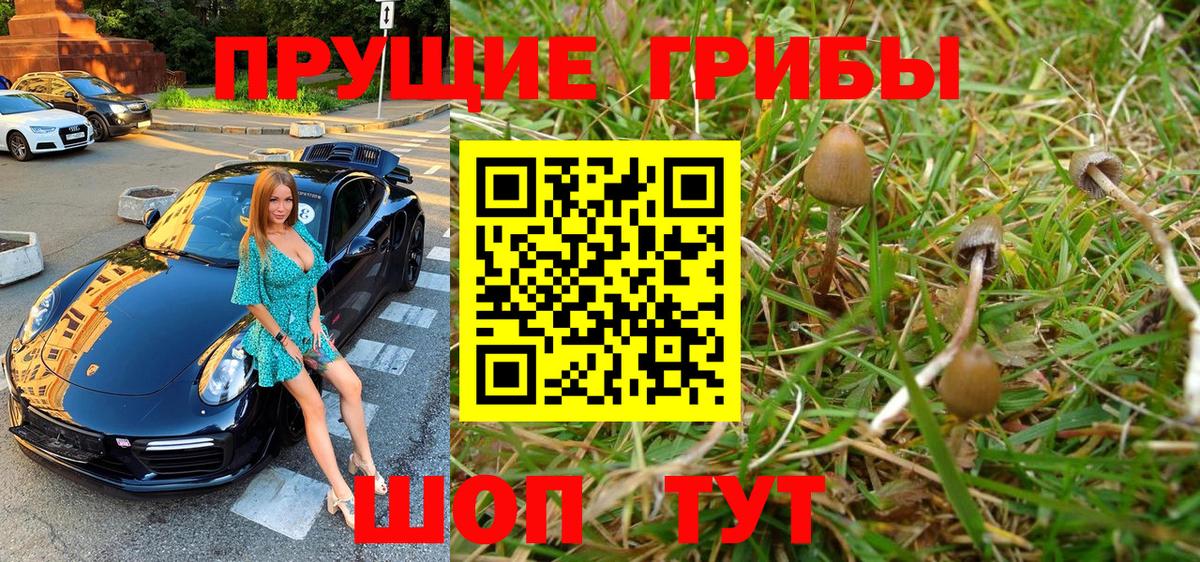 Галлюциногенные грибы Psilocybe  Галлюциногенные грибы MAGIC MUSHROOMS  Вход с VPN  Алатырь 