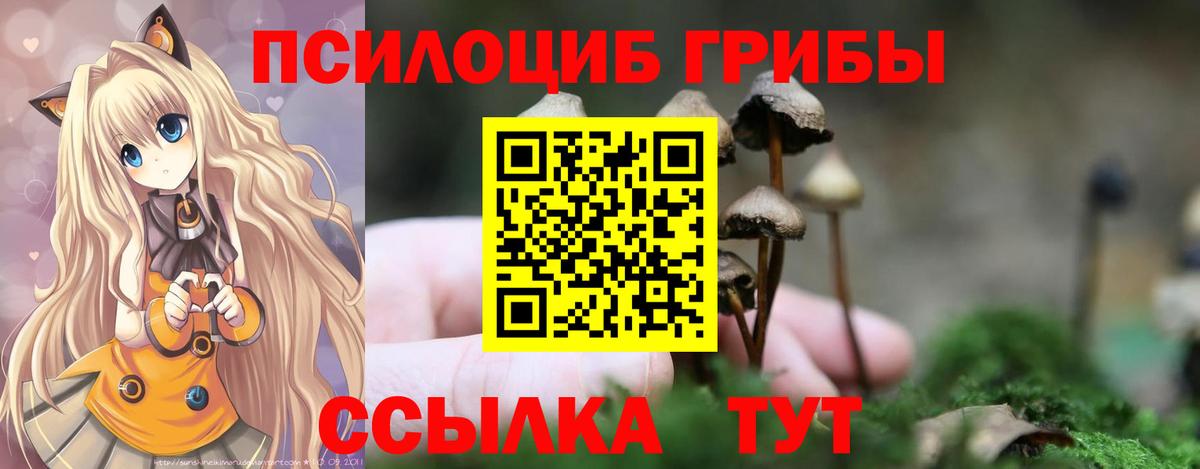 Галлюциногенные грибы Psilocybine cubensis Алатырь