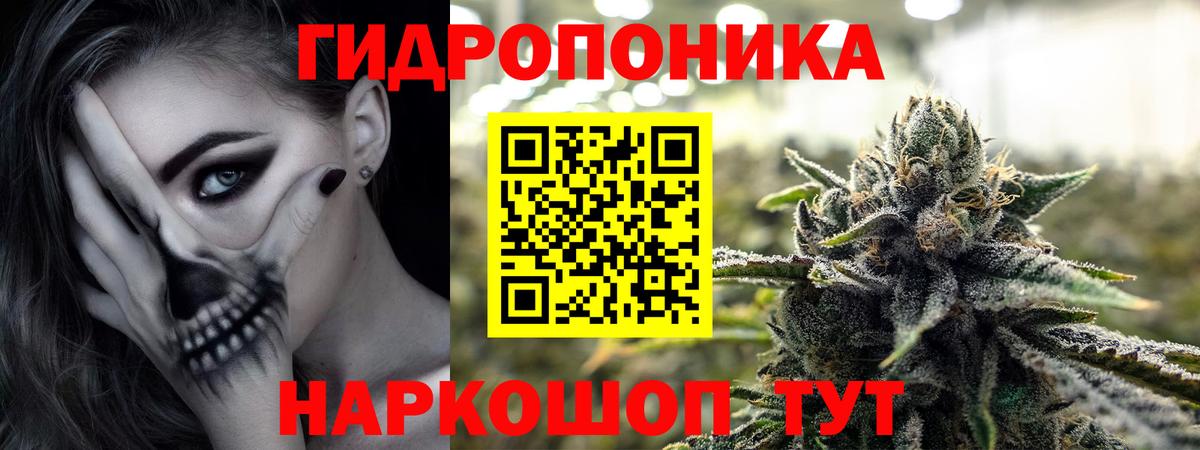 Каннабис White Widow  Марихуана OG Kush  Алатырь  Вход с VPN 